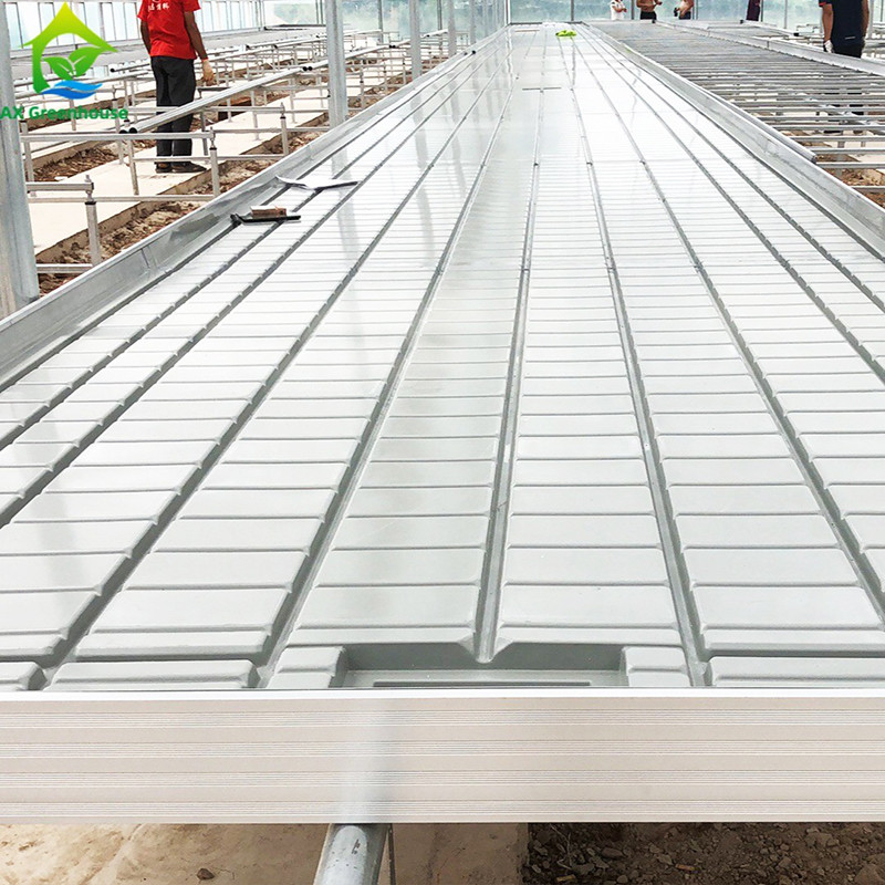 Taille personnalisée banc à rouleaux semencier pour la plante de tomate Table de culture de la rivière Flux d'écoulement de l'agriculture en intérieur