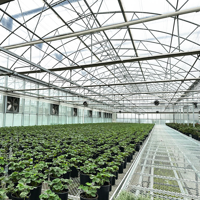 Structure d'acier Film résistant aux UV Poly Tunnel Serre végétale multifonctionnelle pour tomates