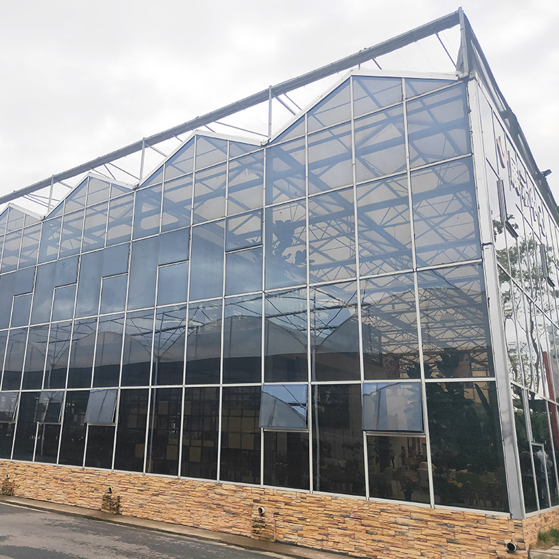Structure en acier galvanisé à chaud et revêtement en verre renforcé pour une ventilation optimale dans les serres en verre agricole