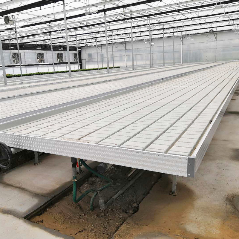 Éboulement et débit 4FT*8FT verticale hydroponique banc à rouleaux mobile Table de culture avec poteau