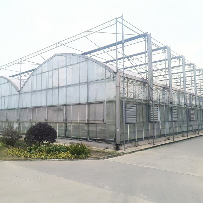 Industrie Agricoles de luxe Venlo Chambre de verre trempé Serre à herbes avec structure stable et système de chauffage