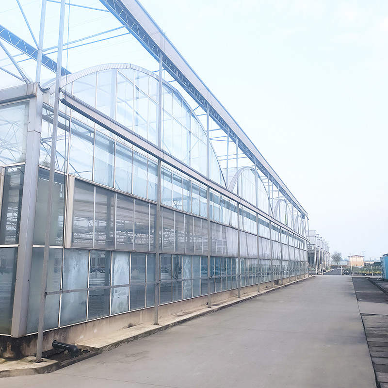 Industrie Agricoles de luxe Venlo Chambre de verre trempé Serre à herbes avec structure stable et système de chauffage