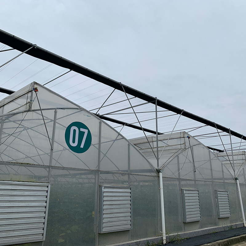 Vente de serre sur mesure à longue portée