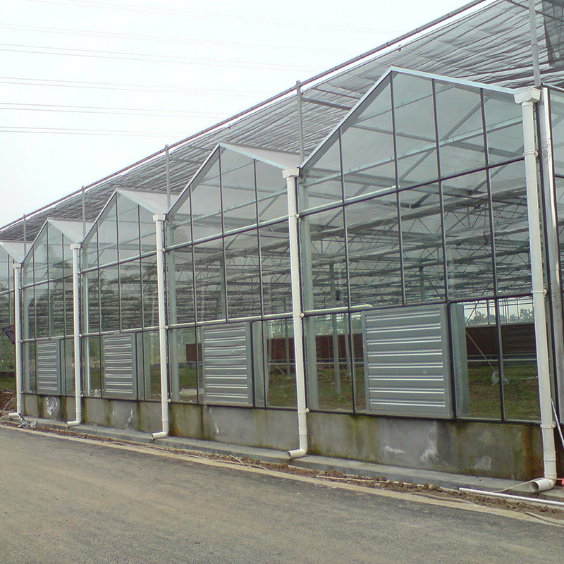 Structure en acier galvanisé à chaud Ventilation automatique Verre agricole Venlo Serre de semis de tomates à longue portée