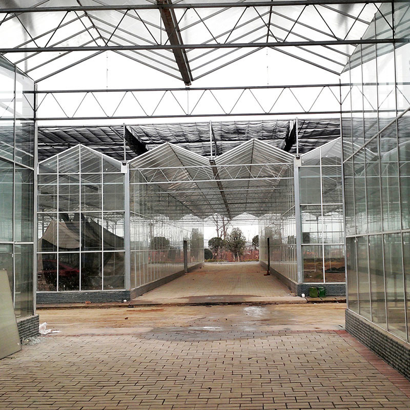 Élevage intelligent type Venlo Élevage en verre trempé en grand tunnel Serre à longue portée