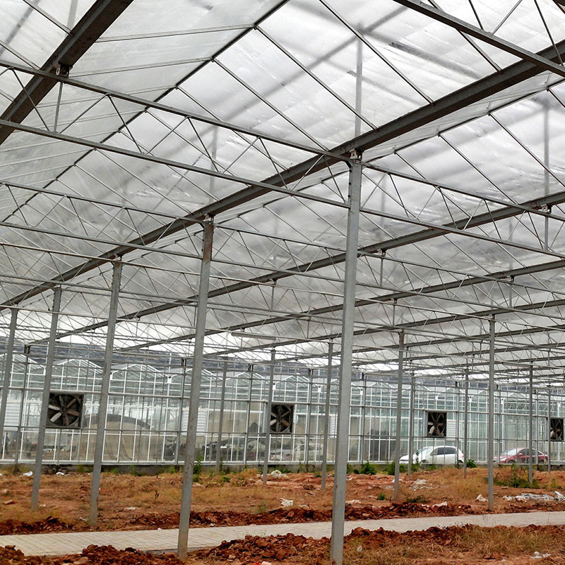 Ventilation automatique Vitrage agricole Venlo Grand tunnel Serres à tomates avec système de refroidissement et système de ventilateur