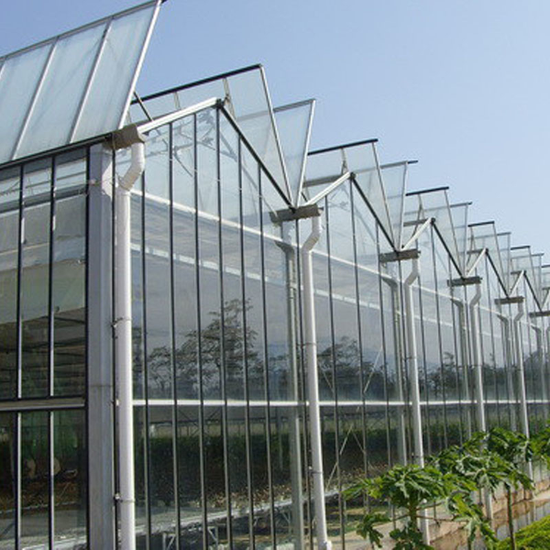 Ventilation automatique Vitrage agricole Venlo Grand tunnel Serres à tomates avec système de refroidissement et système de ventilateur