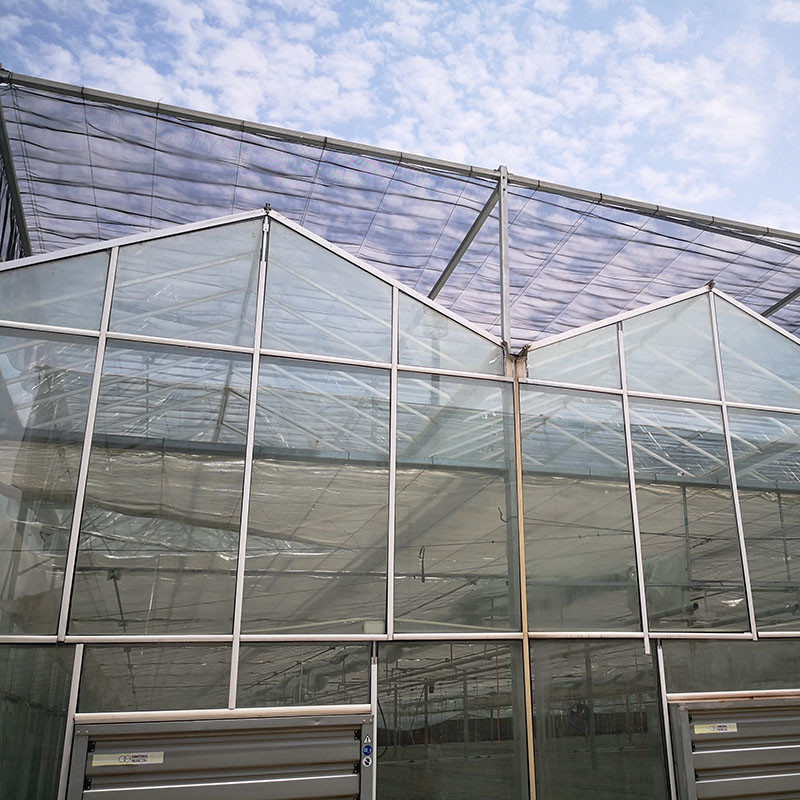 Ventilation automatique Vitrage agricole Venlo Grand tunnel Serres à tomates avec système de refroidissement et système de ventilateur