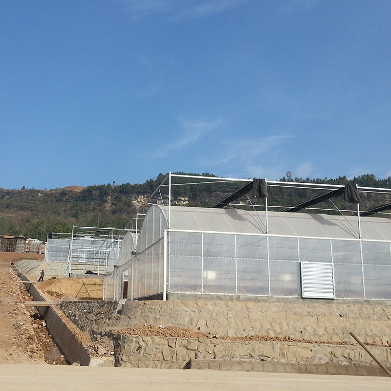 Résistant à la rouille en acier à fond de poly-tunnel fiable Film durable pour tomates