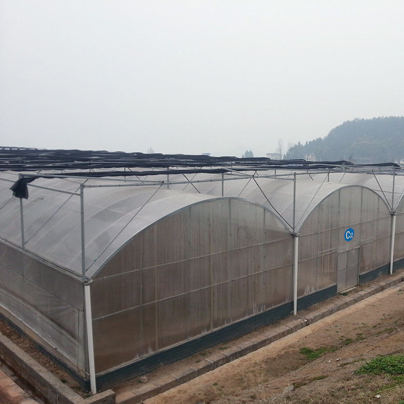 Résistant à la rouille en acier à fond de poly-tunnel fiable Film durable pour tomates