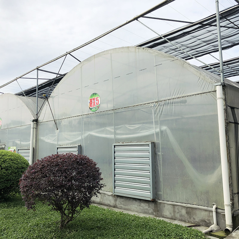 Structure stable Plastique industriel PE film multi-span Maison de fleurs agricole Serre poly tunnel
