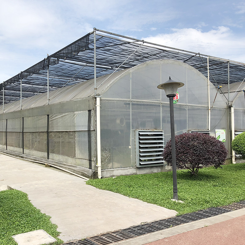 Structure stable Plastique industriel PE film multi-span Maison de fleurs agricole Serre poly tunnel