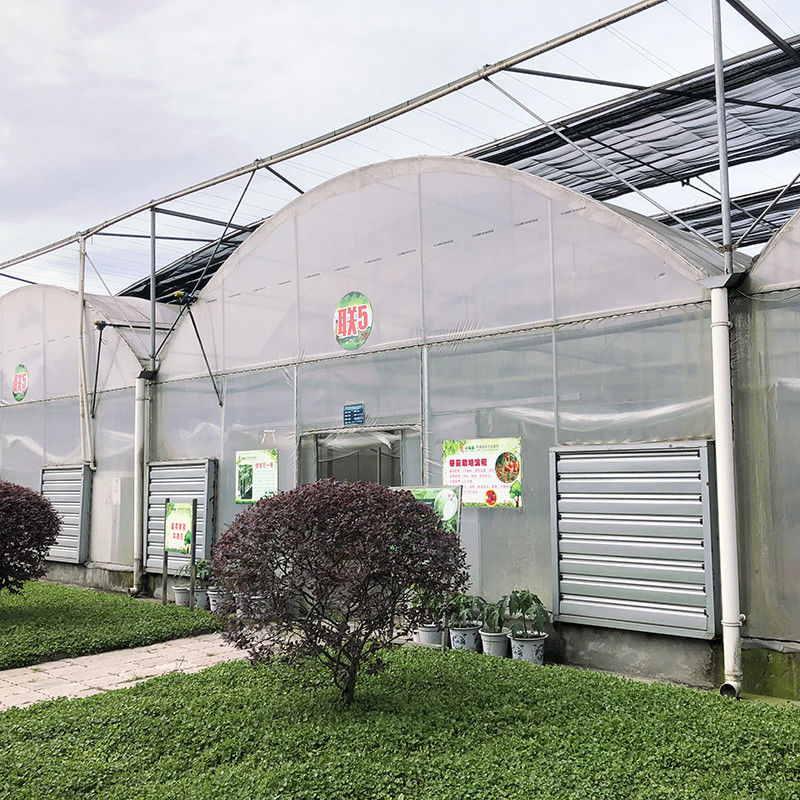 Serre agricole à taille personnalisée poly-tunnel multi-span
