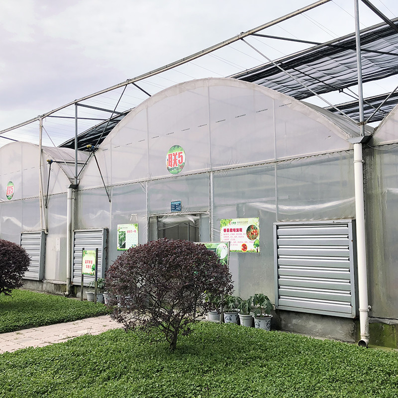Structure stable Plastique industriel PE film multi-span Maison de fleurs agricole Serre poly tunnel