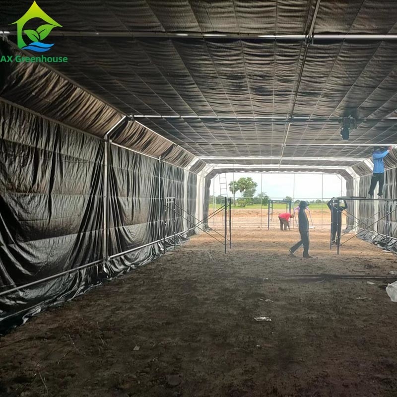Tente de serre à pellicule unique pour l'agriculture commerciale