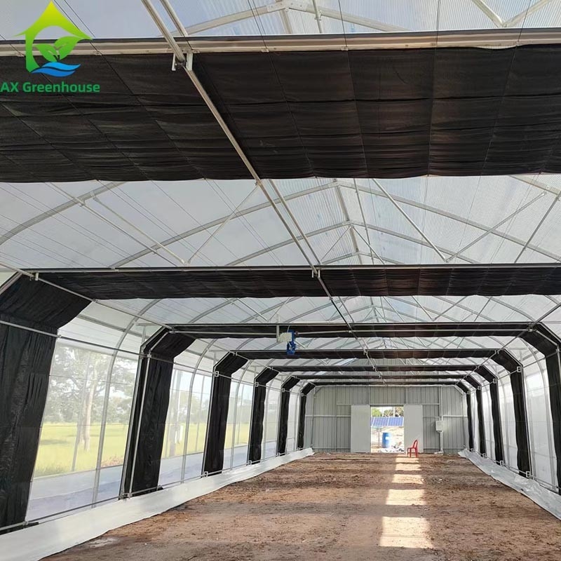 Tente de serre à pellicule unique pour l'agriculture commerciale