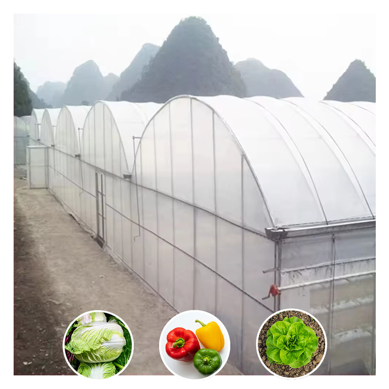 Vente à chaud de serres à film résistant aux UV poly-tunnel multi-span personnalisées pour tomates