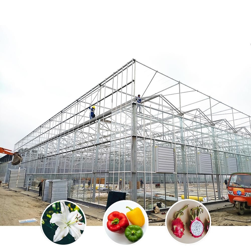 Solution agricole pour toutes les conditions météorologiques Structure stable Serre avec acier galvanisé à chaud et verre commercial