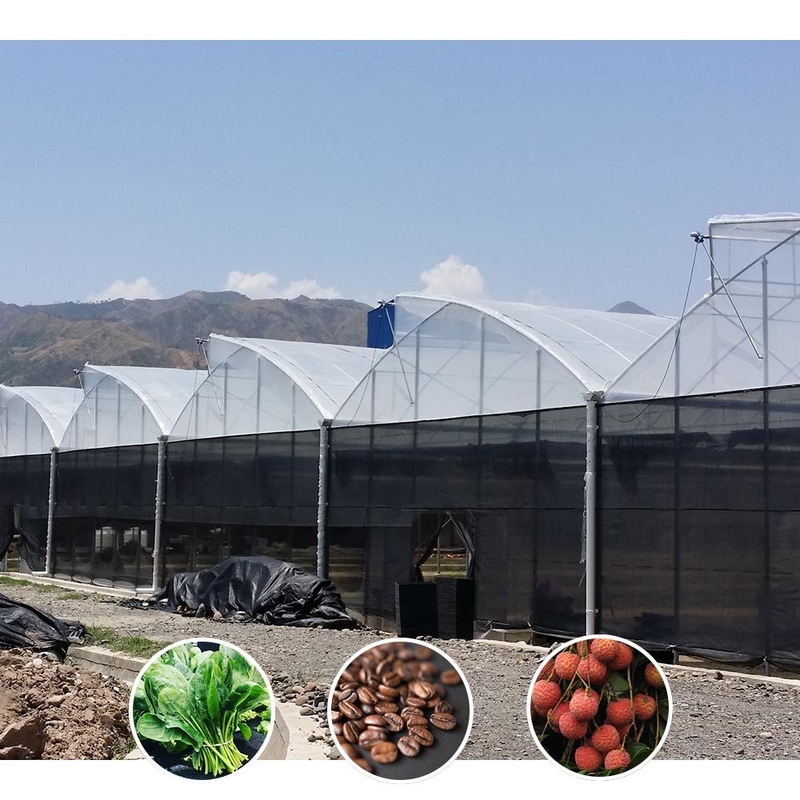 Vente de serre sur mesure à longue portée