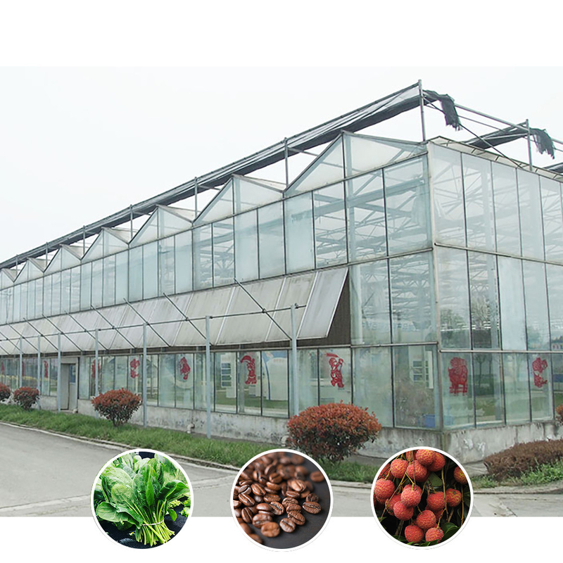 Solution agricole pour toutes les conditions météorologiques Structure stable Serre avec acier galvanisé à chaud et verre commercial