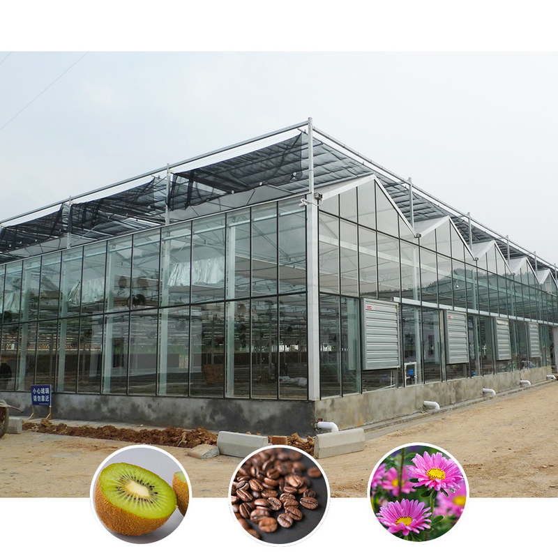 Solution agricole pour toutes les conditions météorologiques Structure stable Serre avec acier galvanisé à chaud et verre commercial