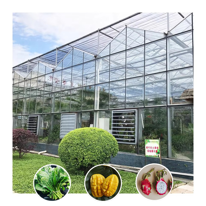 Serre en verre agricole pour les fleurs