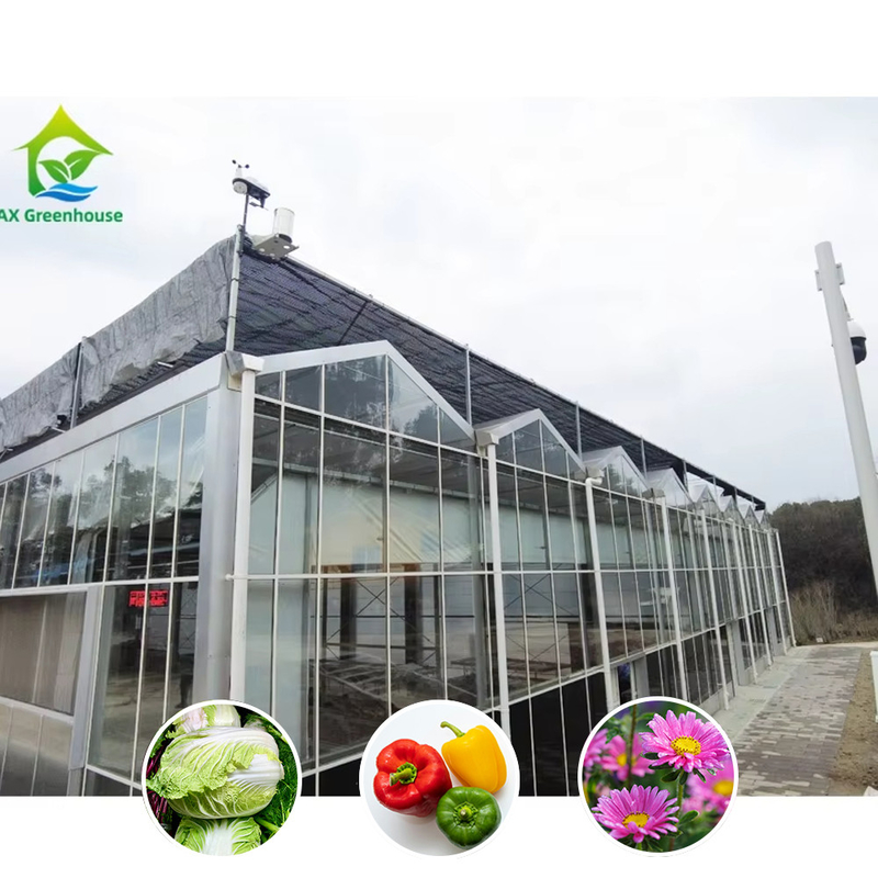 Solution agricole pour toutes les conditions météorologiques Structure stable Serre avec acier galvanisé à chaud et verre commercial