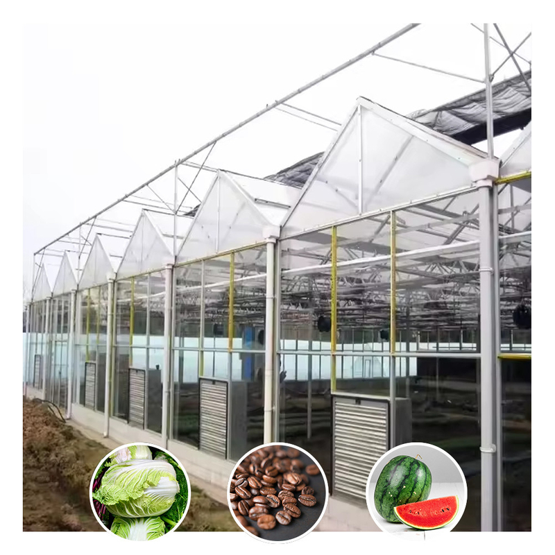 Serre en verre agricole pour les fleurs