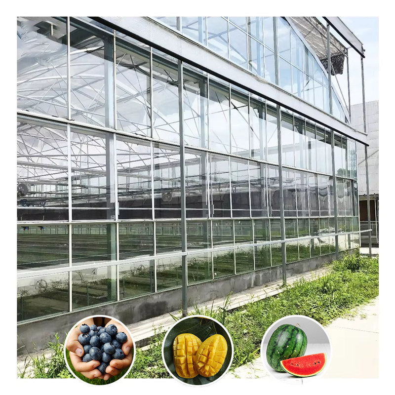 Serre en verre agricole pour les fleurs