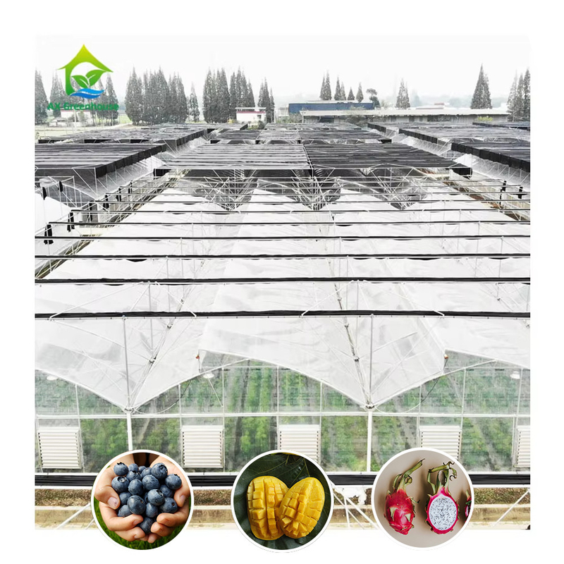 Serre personnalisée à structure en acier galvanisé à chaud à pellicule plastique multi-span avec conception de dent de scie à ventilation tropicale