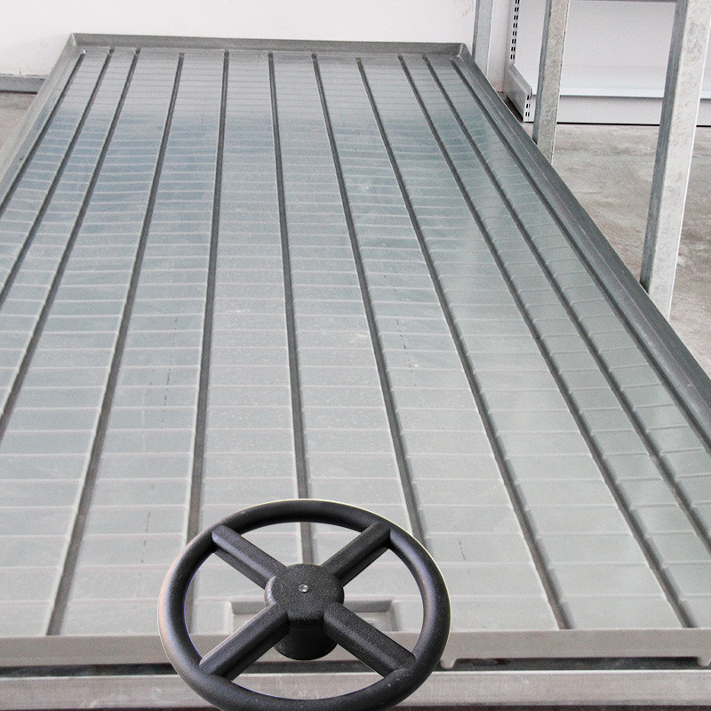 Taille personnalisée banc à rouleaux semencier pour la plante de tomate Table de culture de la rivière Flux d'écoulement de l'agriculture en intérieur