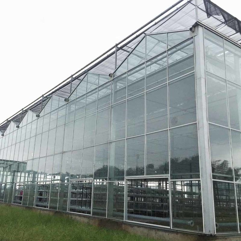 Serre agricole en verre de style Venlo à longue portée avec revêtement de toit triangulaire et ventilation latérale supérieure pour la ventilation
