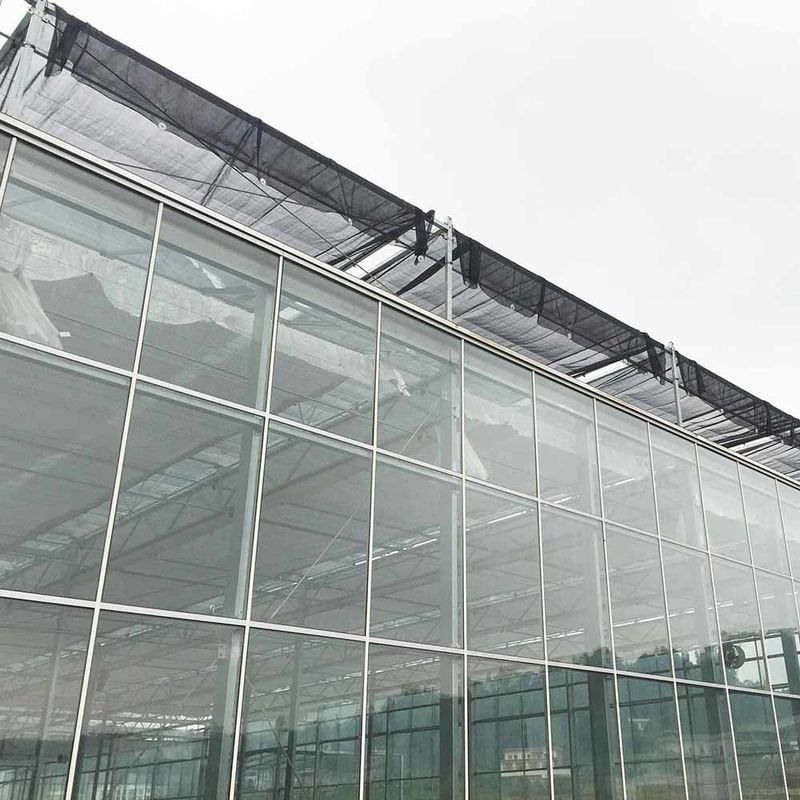 Serre agricole en verre de style Venlo à longue portée avec revêtement de toit triangulaire et ventilation latérale supérieure pour la ventilation