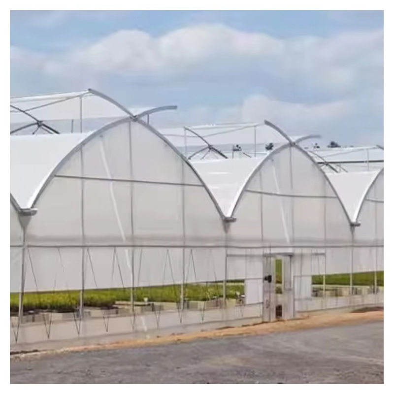 Serre agricole à taille personnalisée poly-tunnel multi-span