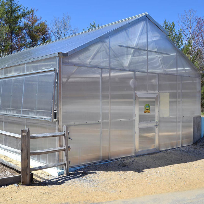 Serre en polycarbonate multi-parois à travée unique polyvalente, idéale pour les légumes, les semis, les fleurs et l'agriculture de jardin.