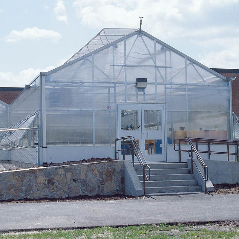 Serre en polycarbonate multi-parois à travée unique polyvalente, idéale pour les légumes, les semis, les fleurs et l'agriculture de jardin.