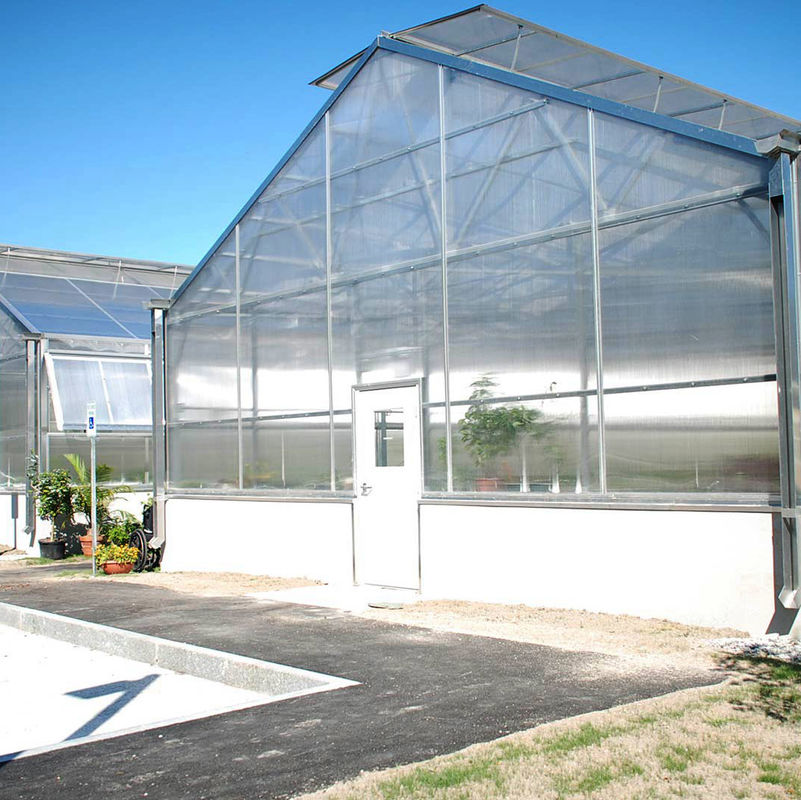 Serre en polycarbonate multi-parois à travée unique polyvalente, idéale pour les légumes, les semis, les fleurs et l'agriculture de jardin.