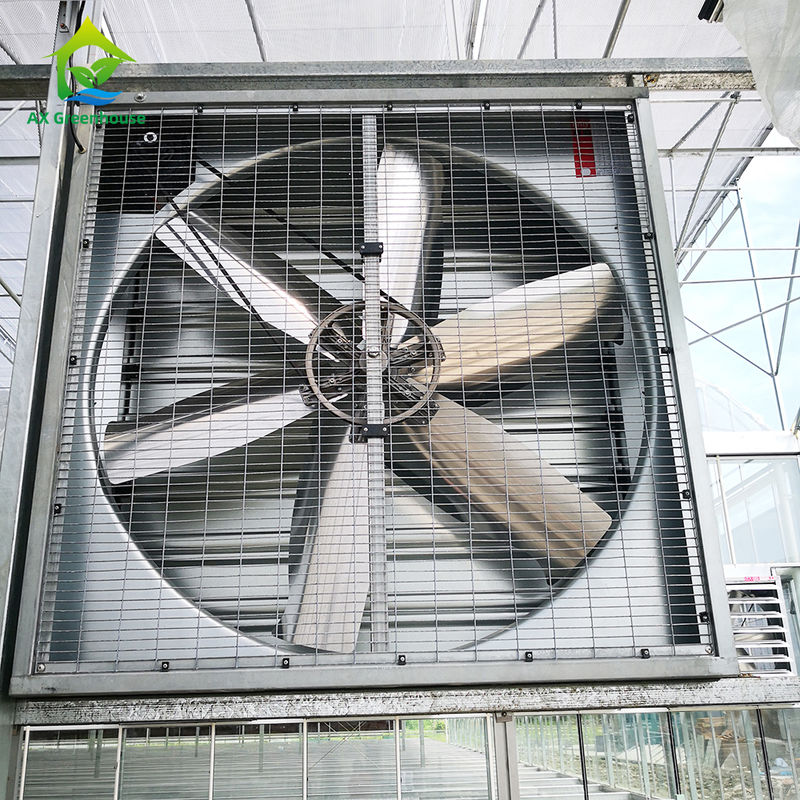 Ventilateurs d'échappement de serre en aluminium de qualité industrielle résistants à la corrosion pour le refroidissement par évaporation humide