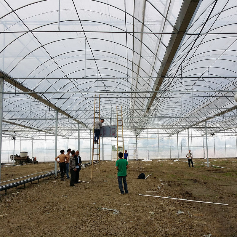 Résistant à la rouille en acier à fond de poly-tunnel fiable Film durable pour tomates