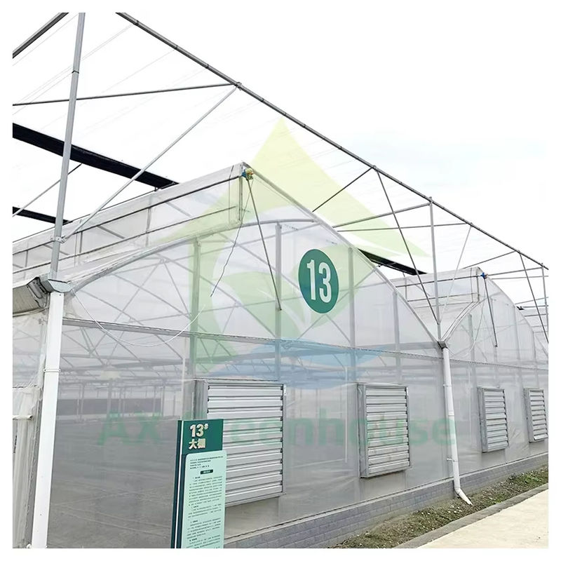 Serre tunnel multi-travées avec toit en dents de scie pour la ventilation naturelle et la diffusion de la lumière