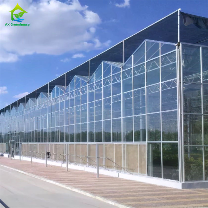 Équipement de culture de fraises végétales dans une serre en polycarbonate de verre durable - kit de serre tout-en-un