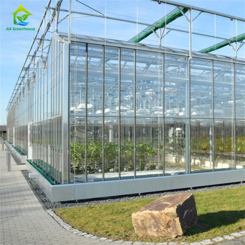 Équipement de culture de fraises végétales dans une serre en polycarbonate de verre durable - kit de serre tout-en-un