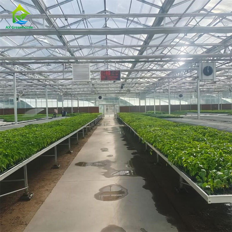 Verre trempé intelligent Verre transparent Grande serre en acier galvanisé à chaud à plusieurs longueurs de routeVerres agricoles pour la culture des fleurs de plantes