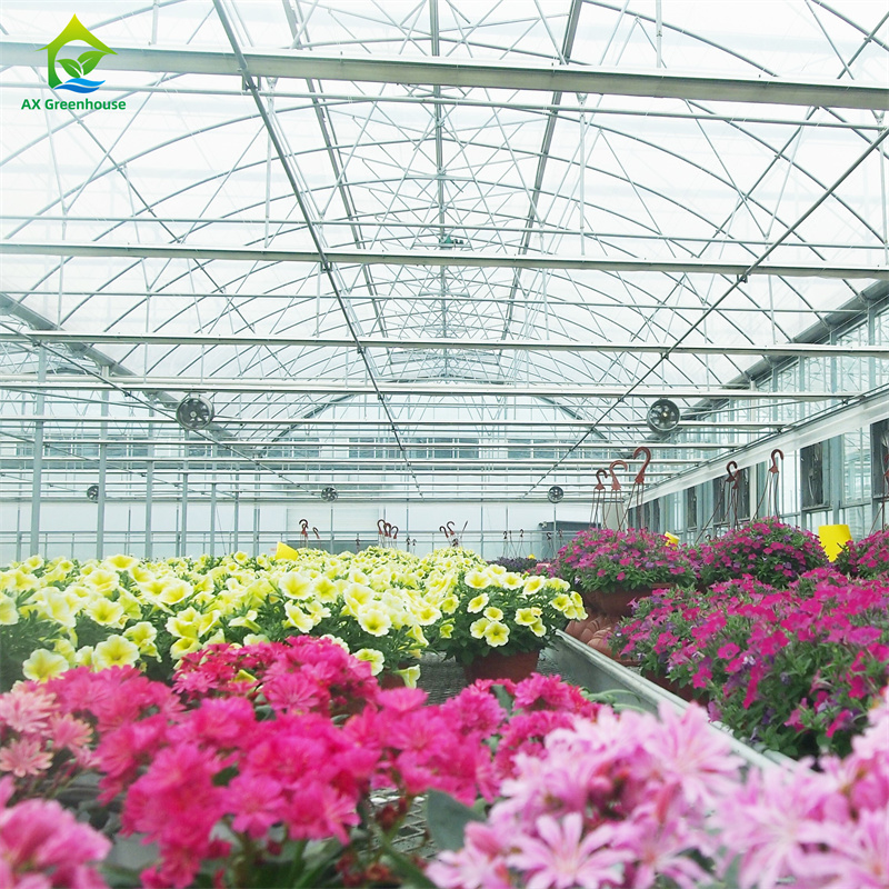 Verre trempé intelligent Verre transparent Grande serre en acier galvanisé à chaud à plusieurs longueurs de routeVerres agricoles pour la culture des fleurs de plantes