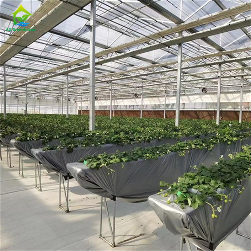 Verre trempé intelligent Verre transparent Grande serre en acier galvanisé à chaud à plusieurs longueurs de routeVerres agricoles pour la culture des fleurs de plantes