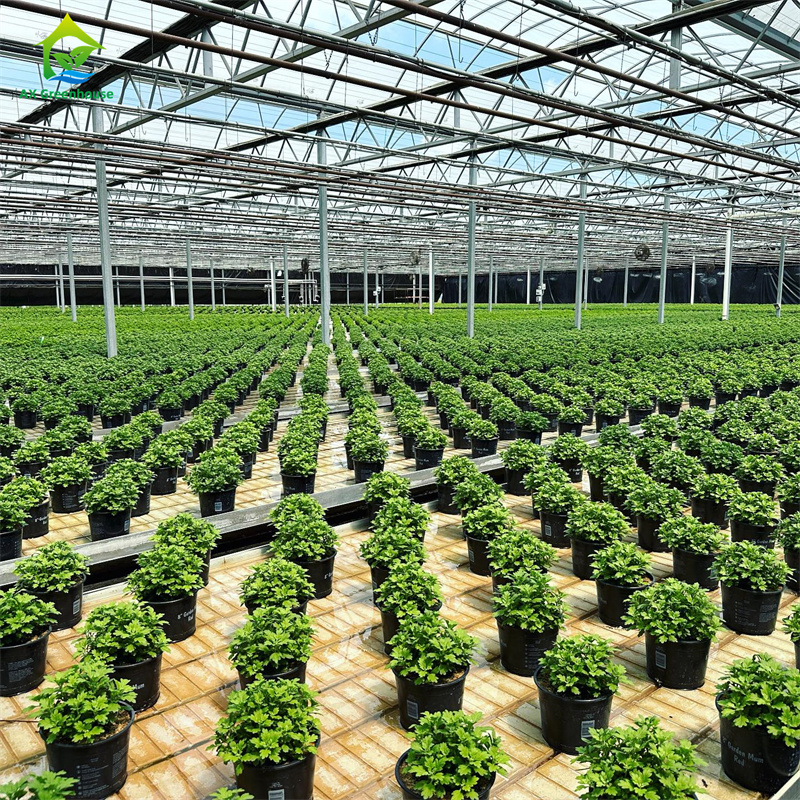 Verre trempé intelligent Verre transparent Grande serre en acier galvanisé à chaud à plusieurs longueurs de routeVerres agricoles pour la culture des fleurs de plantes