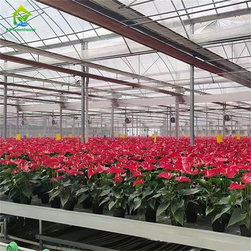 Verre trempé intelligent Verre transparent Grande serre en acier galvanisé à chaud à plusieurs longueurs de routeVerres agricoles pour la culture des fleurs de plantes