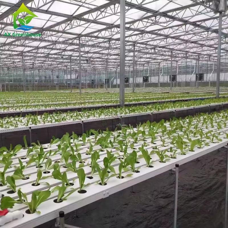 China Factory Super Farm Hydroponic NFT Growing System NFT PVC Channel Horizontal NFT Soilless Leafy VegetableCultivation System