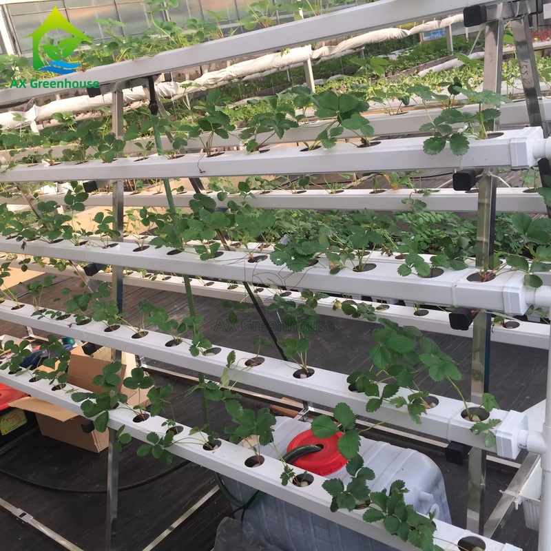 Système de culture hors-sol en serre, technique du film nutritif (NFT) en A, culture efficace de légumes en canal