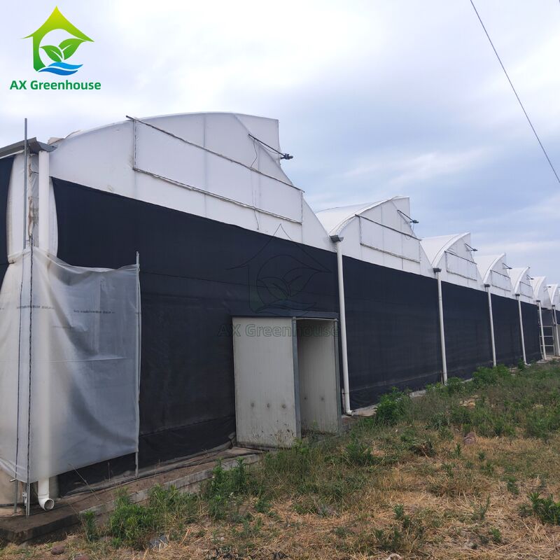 Multi-Span Light Deprivation Greenhouse with Hot-Dip Galvanized Steel Frame and Blackout Sidewall System in Customizable Dimensions